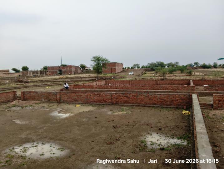 Gauhania Main Image 1