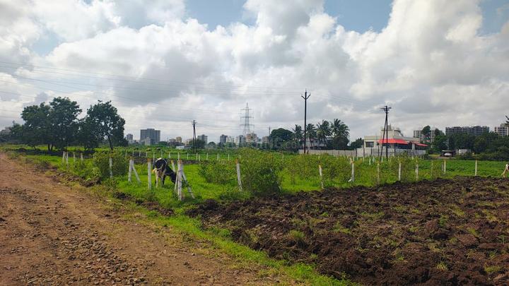 Bhujbal Knowledge City Main Image 1