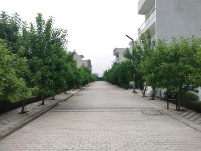 Image of 150 Sq.ft Residential Plot / Land for sale in Mansha Oaks, Sector 98, Faridabad for Rs. 16200000