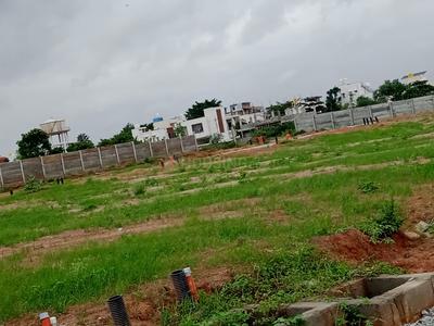 Residential Plot