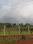BADLAPUR PREMIUM LAND Plot View 2