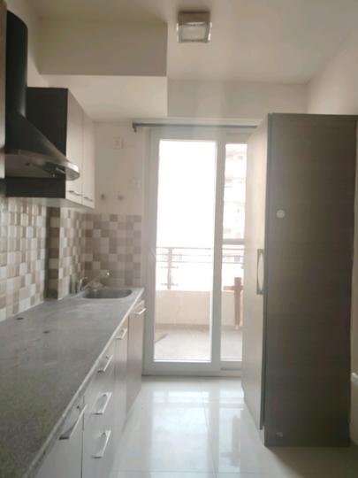 Tulip Leaf Main Image 1