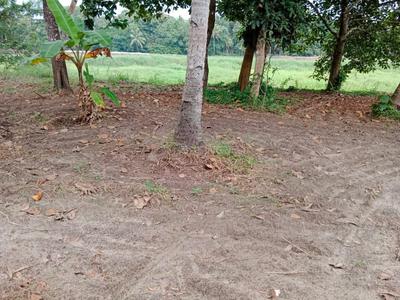 Image of 36624 Sq.ft Residential Plot / Land for sale in Chengannur, Alappuzha for Rs. 20000000