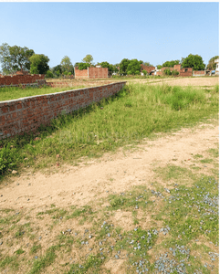 Karsana Plot View 3