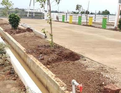 Image of 1200 Sq.ft Residential Plot / Land for sale in Allipuram, Nellore for Rs. 1660000