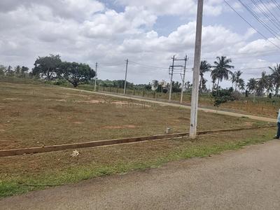 Image of 1200 Sq.ft Residential Plot / Land for sale in Danagalli, Mysore for Rs. 3778815