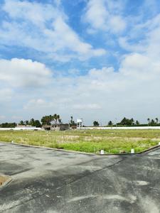 Residential Plot
