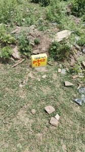 Image of 1350 Sq.ft Residential Plot / Land for sale in Pink Hitawala Pearl Apartment, Badgaon, Udaipur for Rs. 5400000