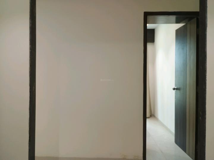 Rai Tulip Main Image 1