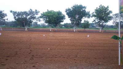 Residential Plot