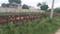 Gwal Pahari Main Image 1