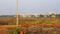 Patrapada Plot View 2