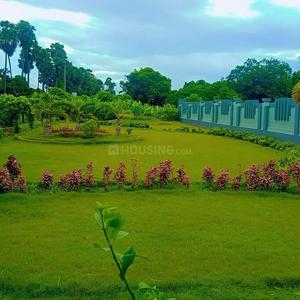 Residential Plot
