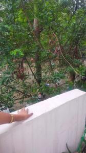 Balcony Image of 900 Sq.ft 2 BHK Builder Floor for sale in New Industrial Township Faridabad for Rs. 4500000