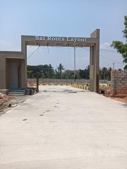 Thyme Park Main Image 1