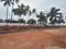 Thagarapuvalasa Main Image 1
