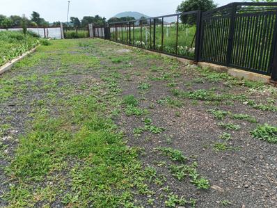 Image of 6000 Sq.ft Residential Plot / Land for sale in Machala, Indore for Rs. 6500000