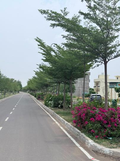 Manglam Rambagh Main Image 1