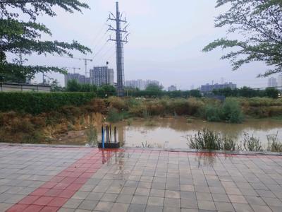 Image of 123 Sq.ft Residential Plot / Land for sale in Skywhales Vienna Greens, Sector 99A, Gurgaon for Rs. 22850009