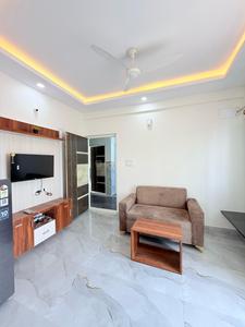 Hall Image of 603 Sq.ft 1 BHK Builder Floor for rent in BTM Layout Bengaluru for Rs. 25000