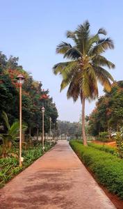 Image of 1082 Sq.ft 3 BHK Apartment / Flat for sale in Kumbalgodu, Bengaluru for Rs. 9300000