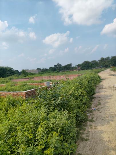 Vineet Khand 6, Gomti Nagar Main Image 1