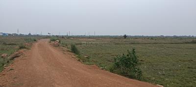 Patrapada Plot View 1
