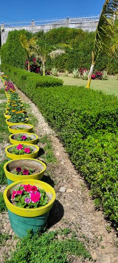 Ramnagar Main Image 1