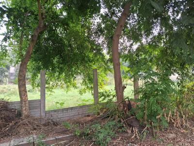 Image of 162 Sq.ft Residential Plot / Land for sale in Sector 122, Noida for Rs. 42000000