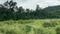 Bidholi Plot View 2