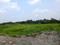 Diamond Park Plot View 2