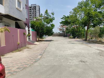 Pipla Plot View 2
