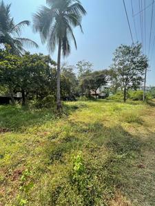 Siolim Plot View 2