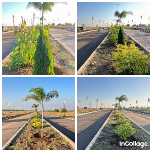 Residential Plot