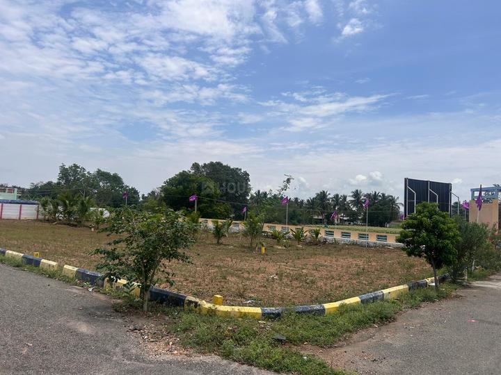 Karamadai Main Image 1