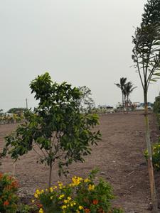 Image of 1151 Sq.ft Residential Plot / Land for sale in Kodies Paradise Avenue, Sulur, Coimbatore for Rs. 2839517