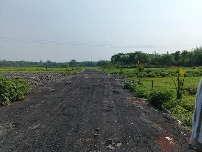 Residential Plot