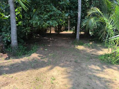 Image of 6534 Sq.ft Residential Plot / Land for sale in Koorkenchery, Thrissur for Rs. 7500000