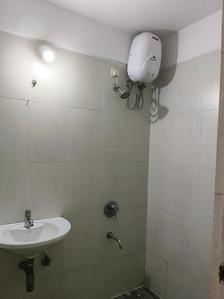 Common Bathroom Image of 909 Sq.ft 2 BHK Apartment / Flat for rent in Lodha Casa Rio, Palava Phase 1 Thane for Rs. 17400
