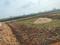 PVT PLOT Plot View 2
