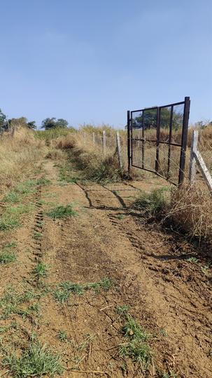 Nawabpet  Main Image 1