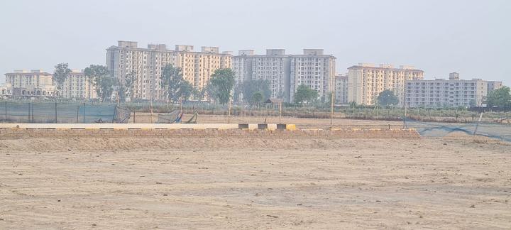 Anora Kala Main Image 1