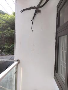 Bedroom One Image of 650 Sq.ft 2 BHK Builder Floor for sale in Sector 8 Dwarka New Delhi for Rs. 11000000