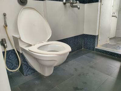 Patel Shelton Bathroom Three 3