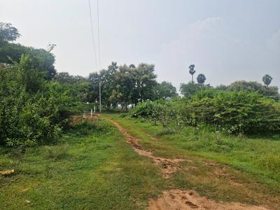 Image of 2200 Sq.ft 3 BHK Independent House for sale in Kadavur, Madurai for Rs. 12500000