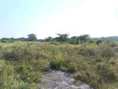 Image of 32 Sq.ft Residential Plot / Land for sale in Sector 34 Rohini, New Delhi for Rs. 10000000