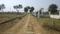 Haroon Colony Sector -II, Phulwari Sharif Plot View 2