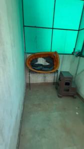 Balcony Image of 700 Sq.ft 1 RK Builder Floor for rent in The Suman Marvelous, Ramgarh Bhudda Zirakpur for Rs. 16000