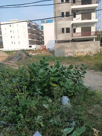 Central Park Flower Valley Main Image 1