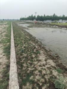 Image of 1000 Sq.ft Residential Plot / Land for sale in Amausi, Lucknow for Rs. 1700000